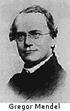Gregor Mendel